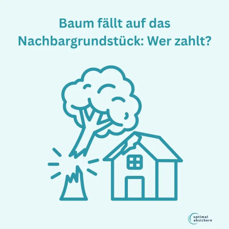 Baum fällt auf Nachbargrundstück: wer zahlt?